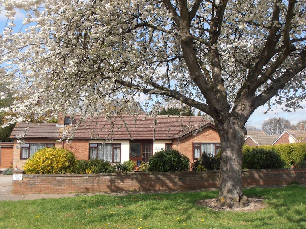 The Hideaway Suite Holiday Home Colchester Dış mekan fotoğraf